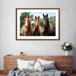 Young Horses Wall Art