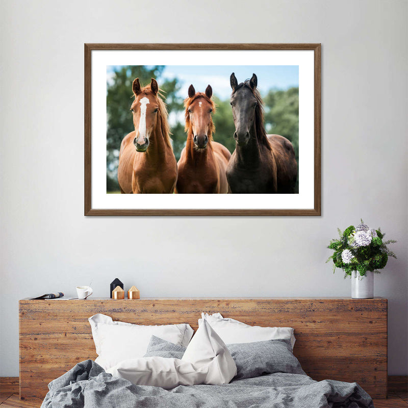 Young Horses Wall Art