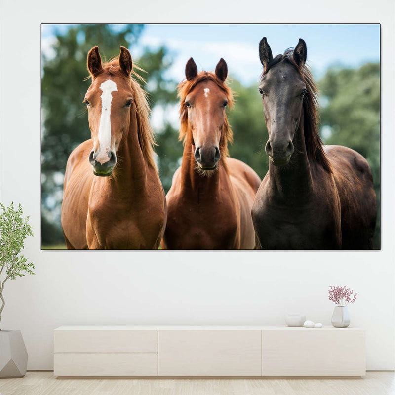 Young Horses Wall Art