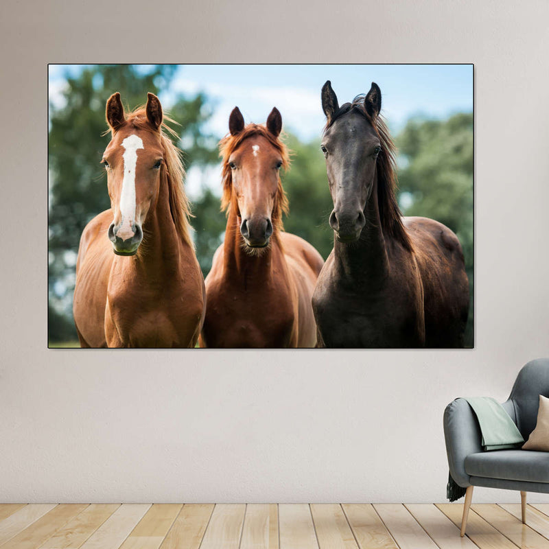 Young Horses Wall Art