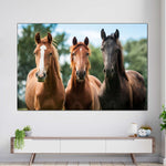 Young Horses Wall Art
