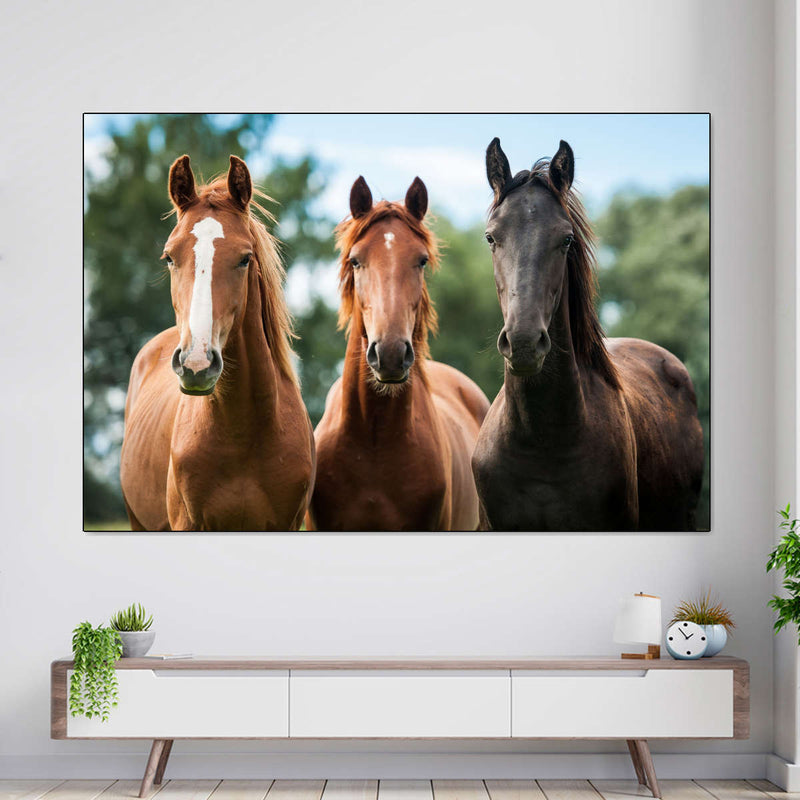 Young Horses Wall Art