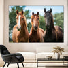 Young Horses Wall Art