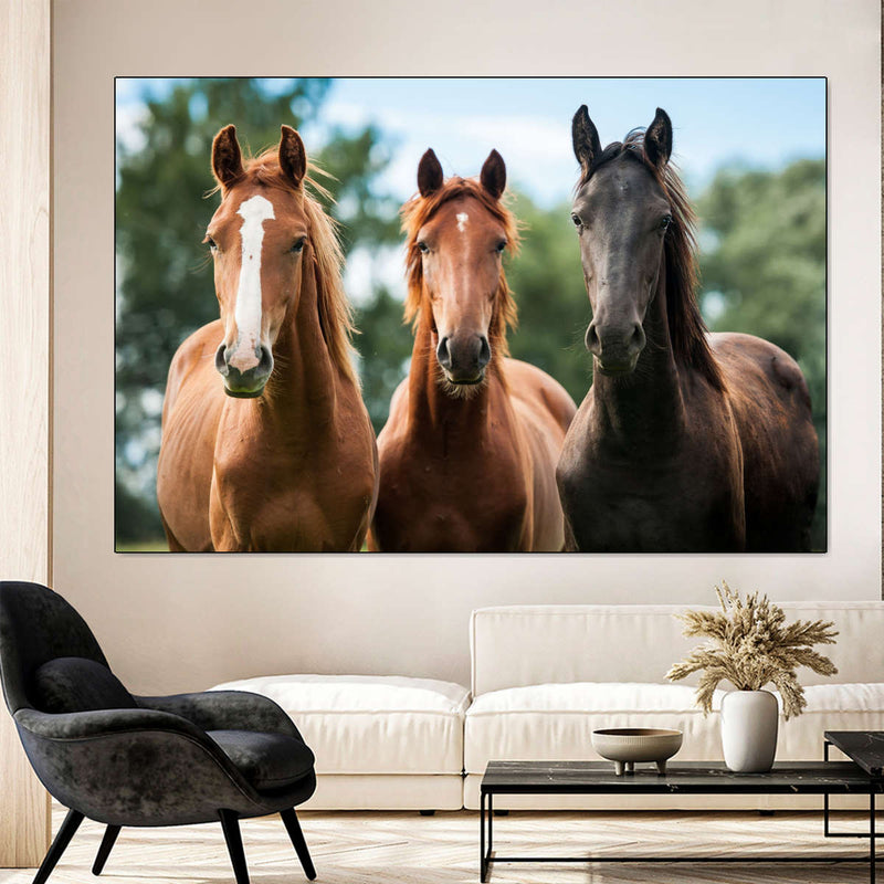 Young Horses Wall Art