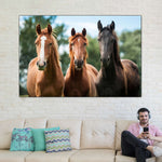 Young Horses Wall Art