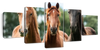 Young Horses Wall Art
