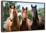 Young Horses Wall Art