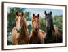 Young Horses Wall Art