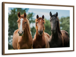 Young Horses Wall Art