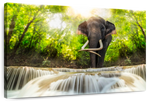 Waterfall Elephant Wall Art