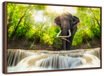 Waterfall Elephant Wall Art