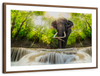 Waterfall Elephant Wall Art