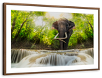 Waterfall Elephant Wall Art