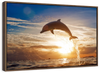 Jumping Dolphin Wall Art