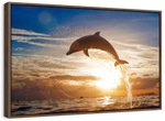 Jumping Dolphin Wall Art