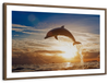 Jumping Dolphin Wall Art