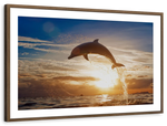 Jumping Dolphin Wall Art