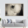 White Horse Eye Wall Art
