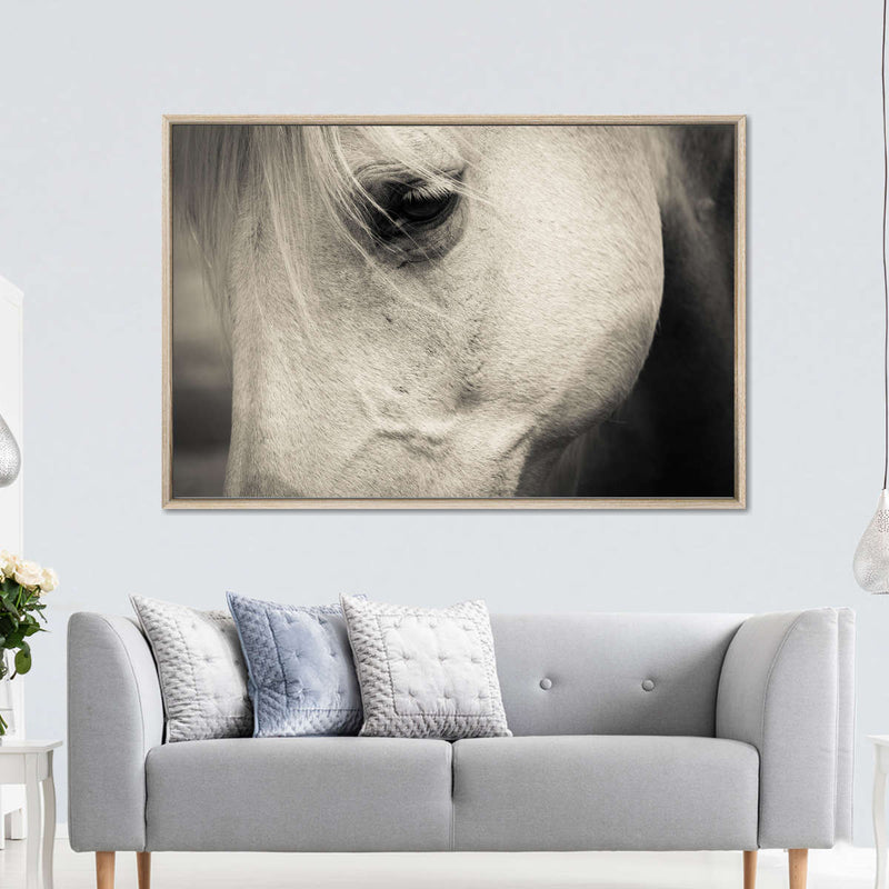White Horse Eye Wall Art