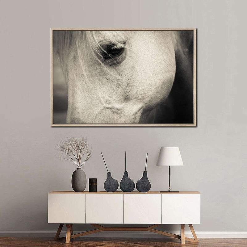 White Horse Eye Wall Art
