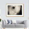 White Horse Eye Wall Art