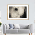 White Horse Eye Wall Art