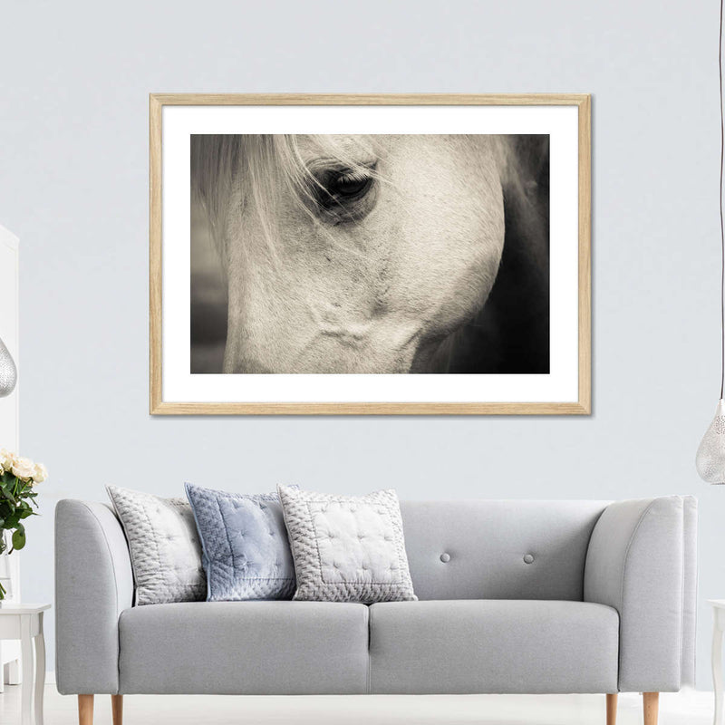 White Horse Eye Wall Art