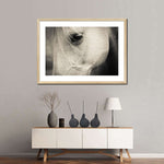 White Horse Eye Wall Art