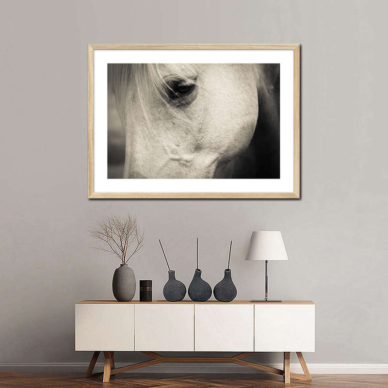 White Horse Eye Wall Art
