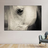 White Horse Eye Wall Art