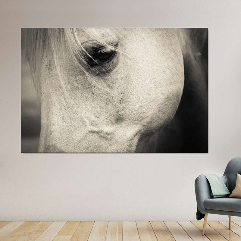 White Horse Eye Wall Art