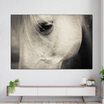 White Horse Eye Wall Art