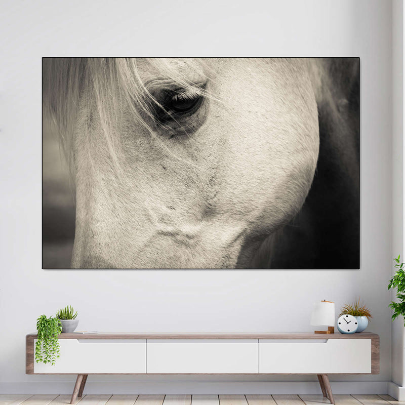 White Horse Eye Wall Art