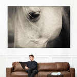 White Horse Eye Wall Art
