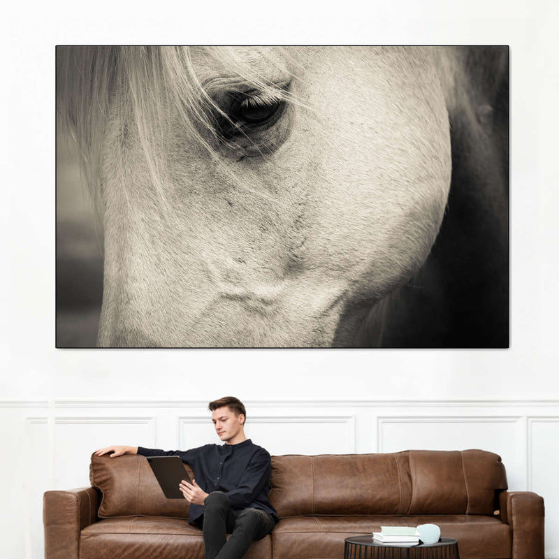 White Horse Eye Wall Art
