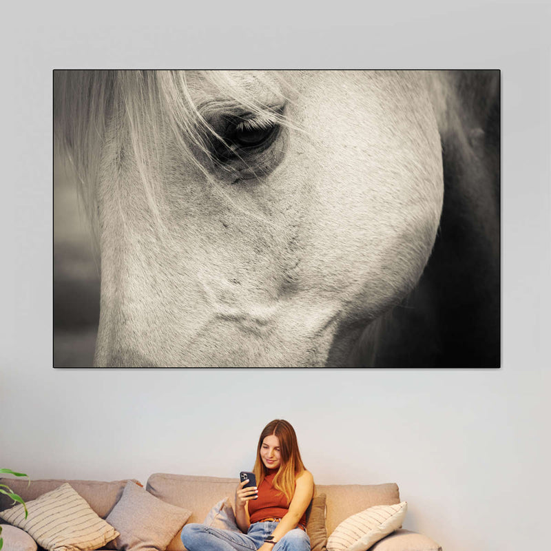 White Horse Eye Wall Art