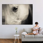 White Horse Eye Wall Art
