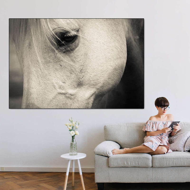 White Horse Eye Wall Art