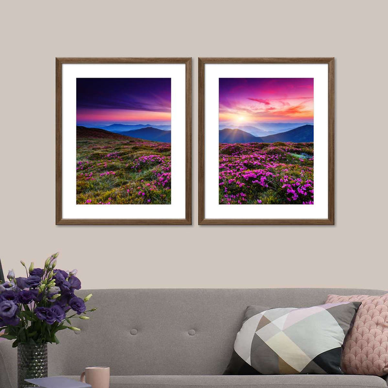 Pink Flowers At Sunset Wall Art