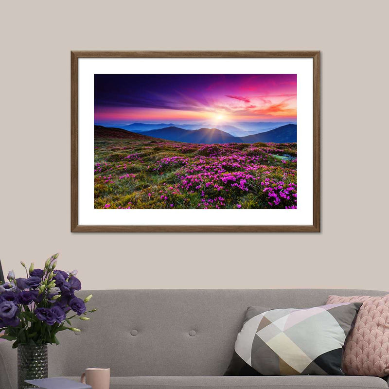 Pink Flowers At Sunset Wall Art