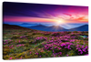 Pink Flowers At Sunset Wall Art