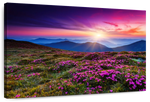 Pink Flowers At Sunset Wall Art