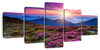 Pink Flowers At Sunset Wall Art