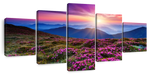 Pink Flowers At Sunset Wall Art