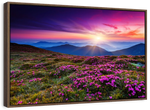 Pink Flowers At Sunset Wall Art