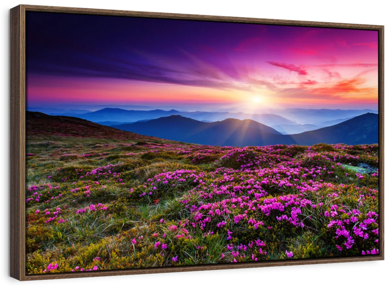 Pink Flowers At Sunset Wall Art