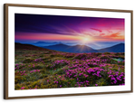 Pink Flowers At Sunset Wall Art