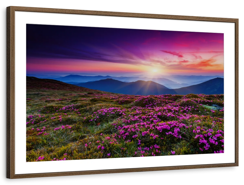 Pink Flowers At Sunset Wall Art