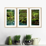 Zen Lakeside Bonsai Trees Wall Art