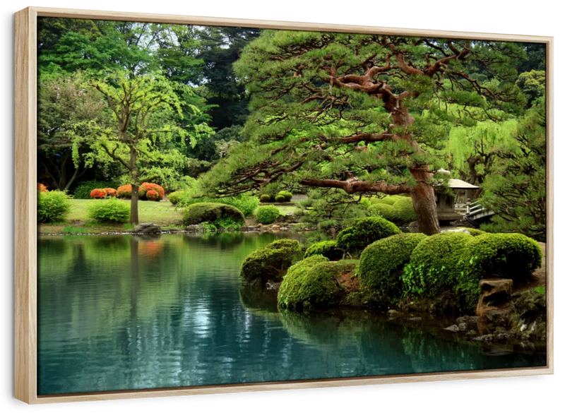 Zen Lakeside Bonsai Trees Wall Art
